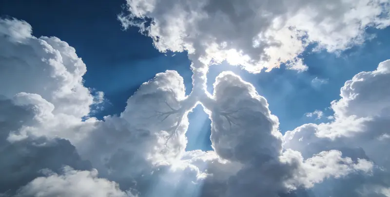 营口肺癌11基因检测组织版图片1