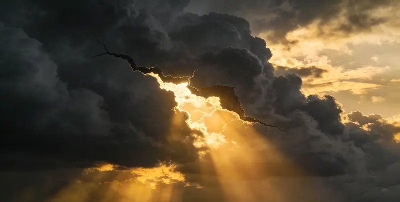 营口肺癌靶向120基因检测（组织）图片1