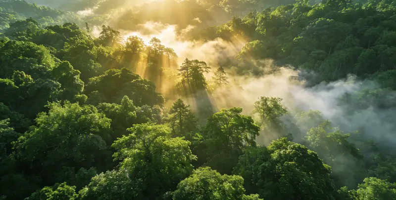 营口肺癌119基因检测图片1