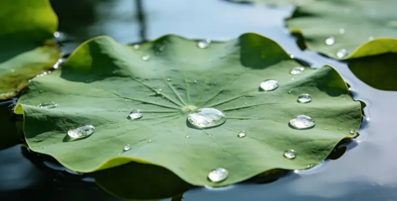 营口乳腺癌21基因mRNA表达分析图片1