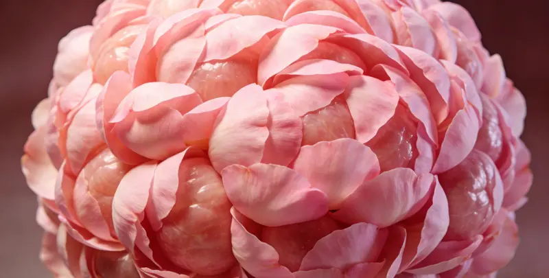 营口BRCA1/2乳腺癌卵巢癌基因检测图片1