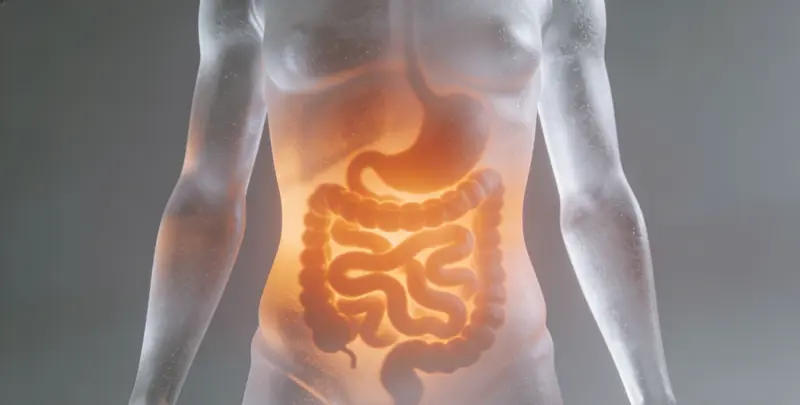 营口食管癌甲基化检测图片1